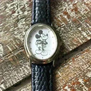 Disney Parks watch